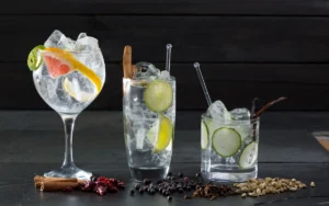 resep-gin-tonic-3-bahan-untuk-pemula