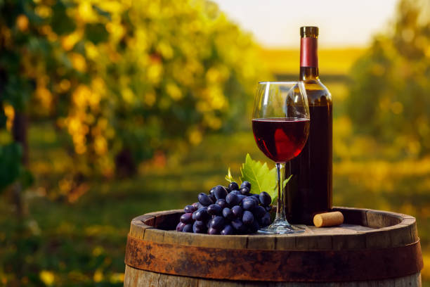 mengenal-natural-wine-dan-keunikan-karakteristiknya